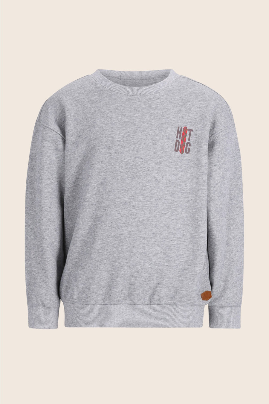 Dail Sweater Grijs melange