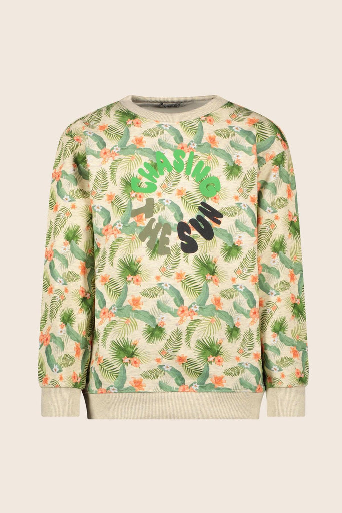 LikeFLO Boys Sweater Charlie Allover - LikeFlo