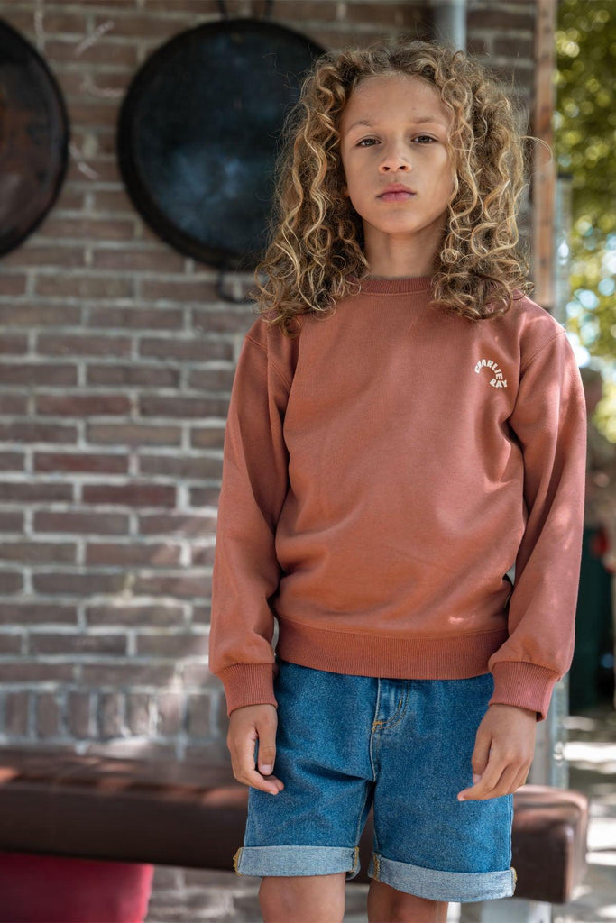 LikeFLO Boys Sweater Charlie Terra - LikeFlo